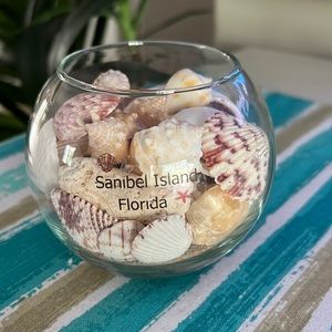 Glass Seashell Bowl- Sanibel Island